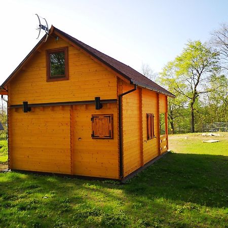 Janowickie Zacisze Villa Janowice Wielkie Exterior photo